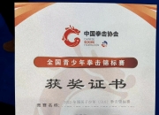 蜂鸟竞技-淘汰赛巅峰对决！粤西烈马队守住胜果荆楚风暴队，拳击赛场再起波澜；逆风翻盘的范本的简单介绍