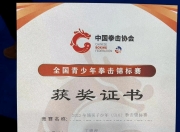 蜂鸟竞技-淘汰赛巅峰对决！粤西烈马队守住胜果荆楚风暴队，拳击赛场再起波澜；逆风翻盘的范本的简单介绍